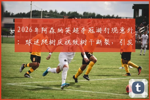 2026年阿森纳英超夺冠游行现意外：球迷爬树庆祝致树干断裂，引发公众安全与文明观赛讨论